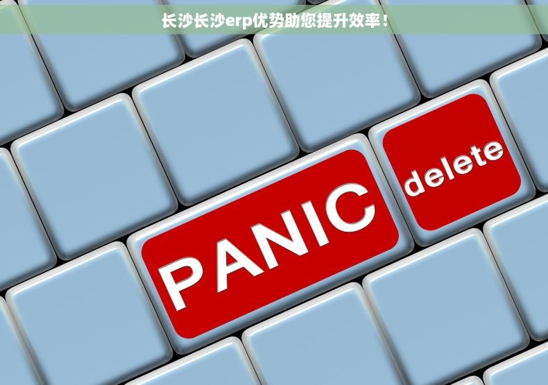 长沙长沙erp优势助您提升效率！