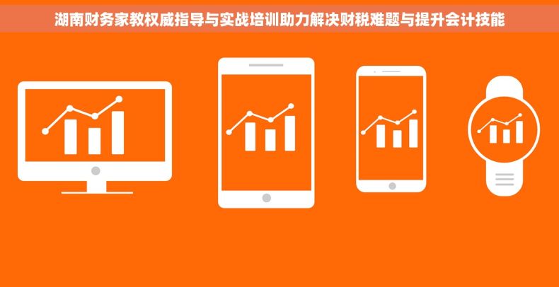 湖南财务家教权威指导与实战培训助力解决财税难题与提升会计技能