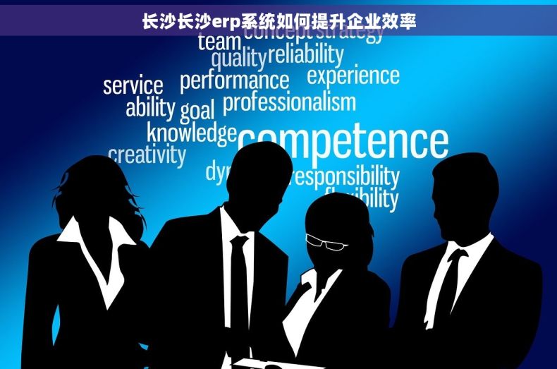 长沙长沙erp系统如何提升企业效率