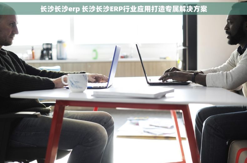 长沙长沙erp 长沙长沙ERP行业应用打造专属解决方案