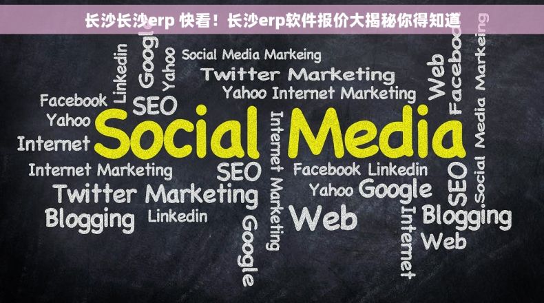 长沙长沙erp 快看！长沙erp软件报价大揭秘你得知道