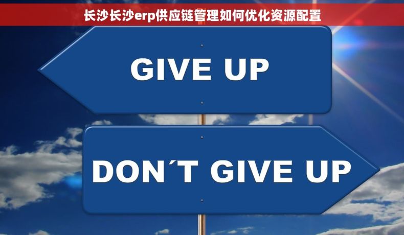 长沙长沙erp供应链管理如何优化资源配置