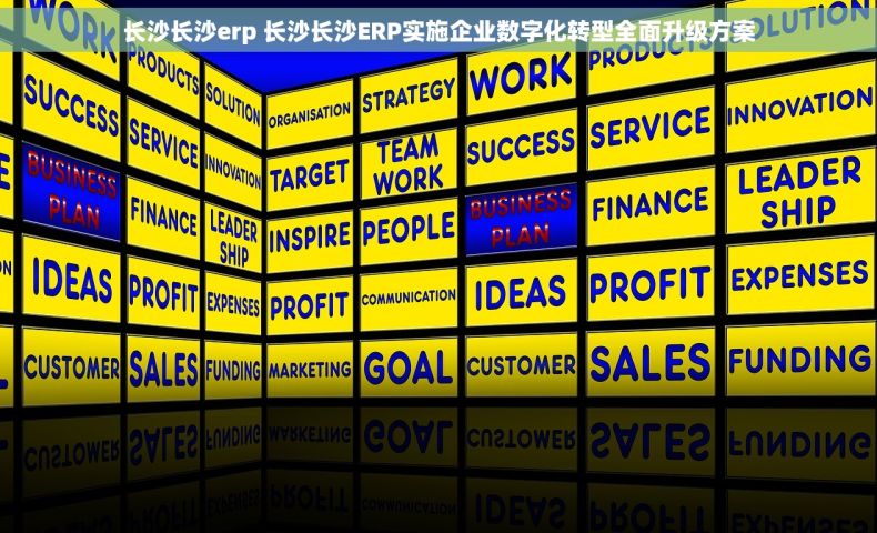 长沙长沙erp 长沙长沙ERP实施企业数字化转型全面升级方案