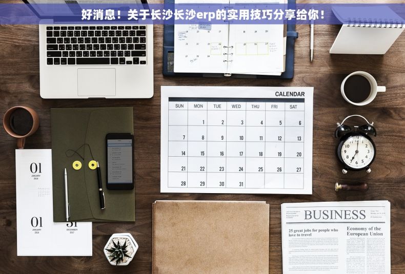 好消息！关于长沙长沙erp的实用技巧分享给你！