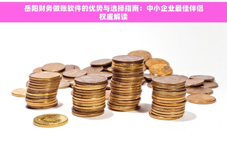 岳阳财务做账软件的优势与选择指南：中小企业最佳伴侣权威解读