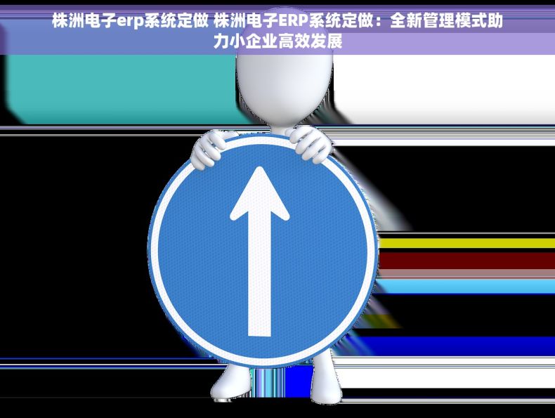株洲电子erp系统定做 株洲电子ERP系统定做：全新管理模式助力小企业高效发展