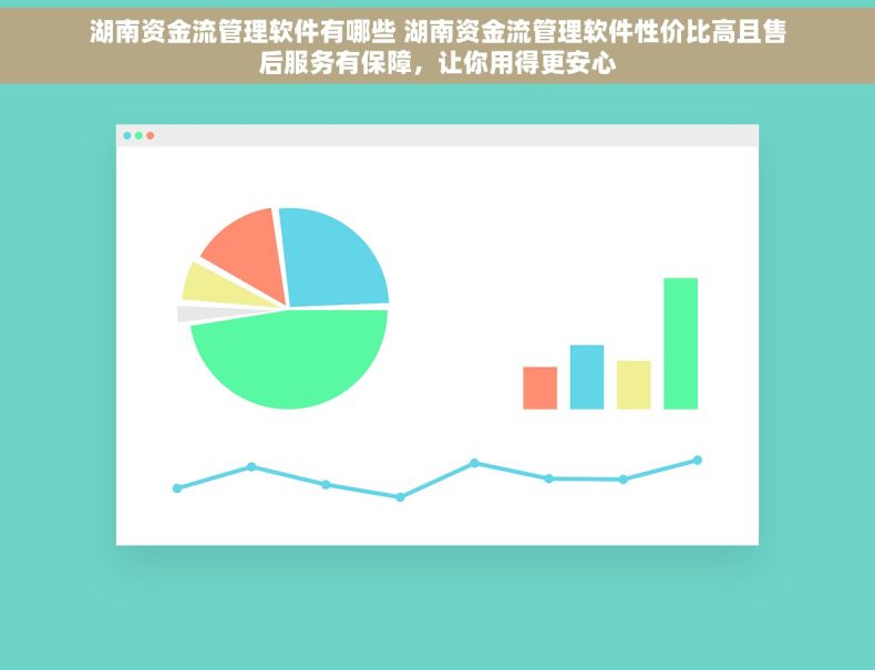 湖南资金流管理软件有哪些 湖南资金流管理软件性价比高且售后服务有保障，让你用得更安心