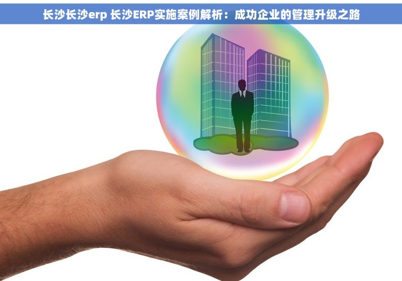 长沙长沙erp 长沙ERP实施案例解析：成功企业的管理升级之路
