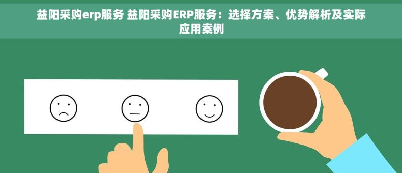 益阳采购erp服务 益阳采购ERP服务：选择方案、优势解析及实际应用案例