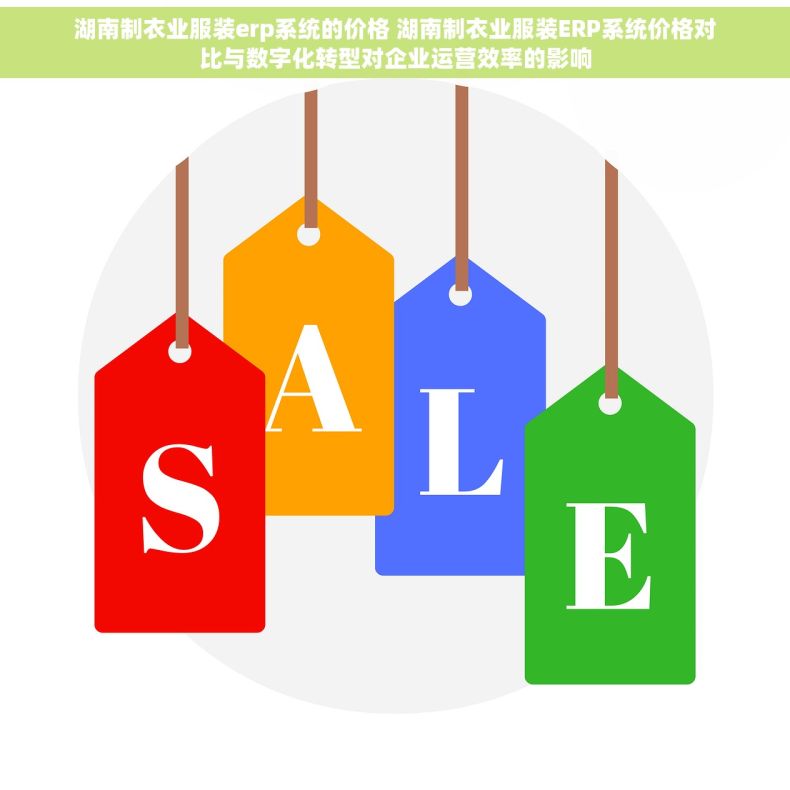 湖南制衣业服装erp系统的价格 湖南制衣业服装ERP系统价格对比与数字化转型对企业运营效率的影响