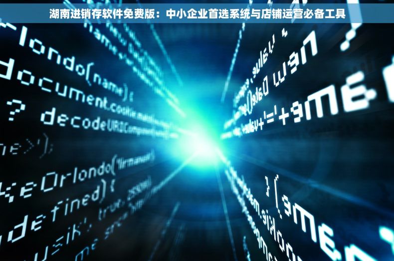 湖南进销存软件免费版：中小企业首选系统与店铺运营必备工具