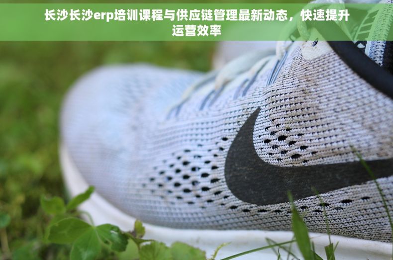长沙长沙erp培训课程与供应链管理最新动态，快速提升运营效率