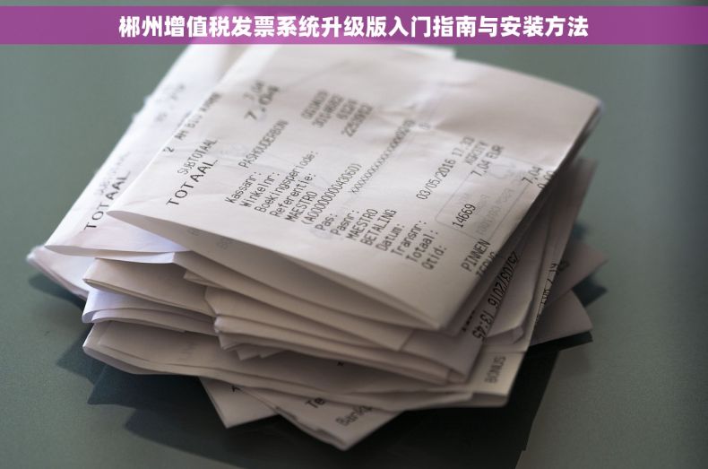 郴州增值税发票系统升级版入门指南与安装方法