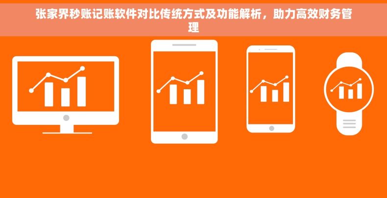 张家界秒账记账软件对比传统方式及功能解析，助力高效财务管理