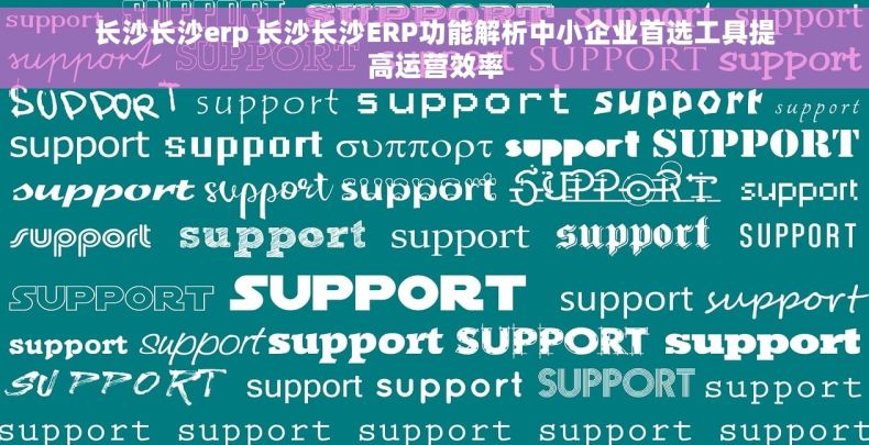 长沙长沙erp 长沙长沙ERP功能解析中小企业首选工具提高运营效率