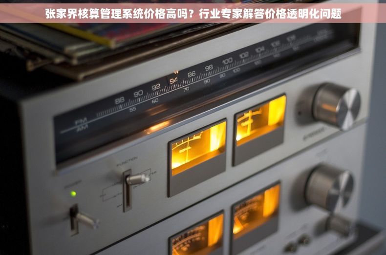 张家界核算管理系统价格高吗？行业专家解答价格透明化问题