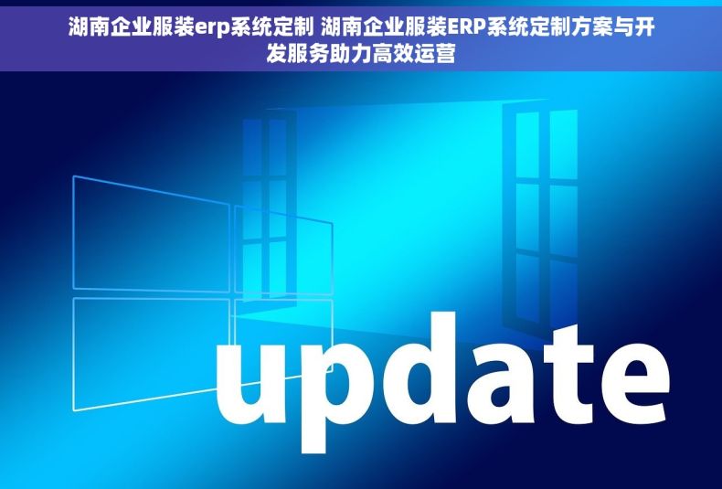 湖南企业服装erp系统定制 湖南企业服装ERP系统定制方案与开发服务助力高效运营