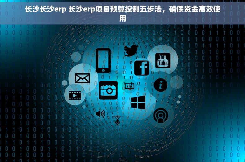 长沙长沙erp 长沙erp项目预算控制五步法，确保资金高效使用