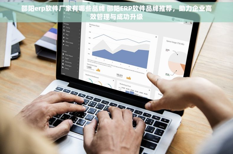 邵阳erp软件厂家有哪些品牌 邵阳ERP软件品牌推荐，助力企业高效管理与成功升级