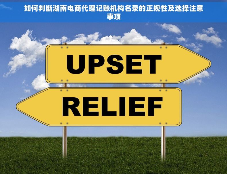 如何判断湖南电商代理记账机构名录的正规性及选择注意事项