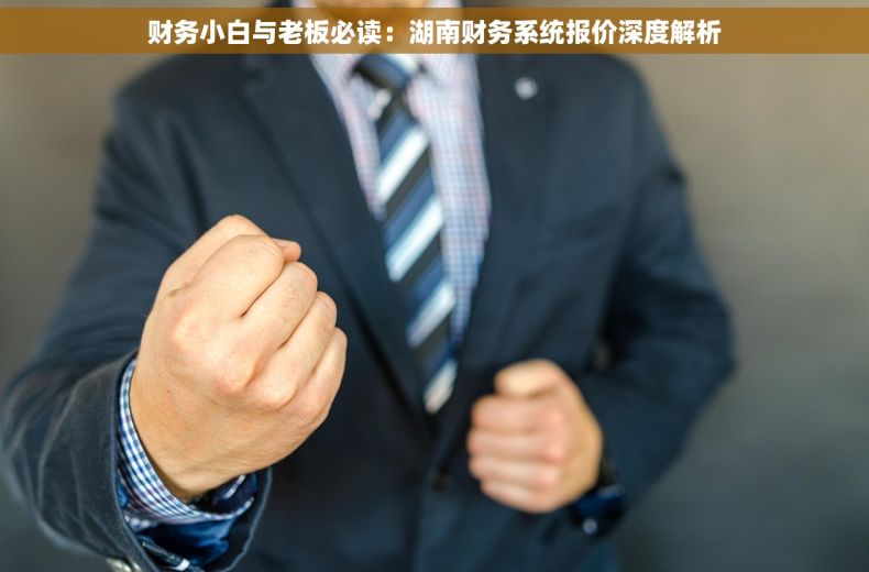 财务小白与老板必读：湖南财务系统报价深度解析