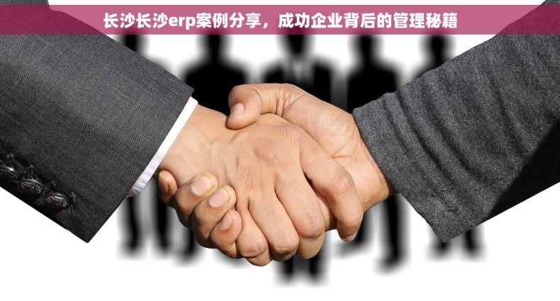 长沙长沙erp案例分享，成功企业背后的管理秘籍