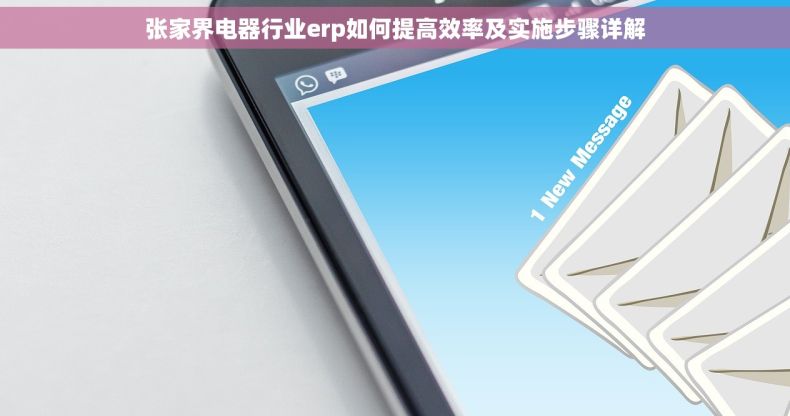 张家界电器行业erp如何提高效率及实施步骤详解