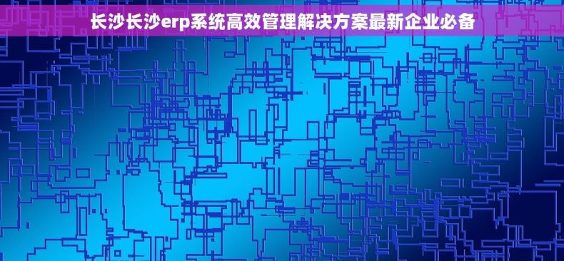 长沙长沙erp系统高效管理解决方案最新企业必备