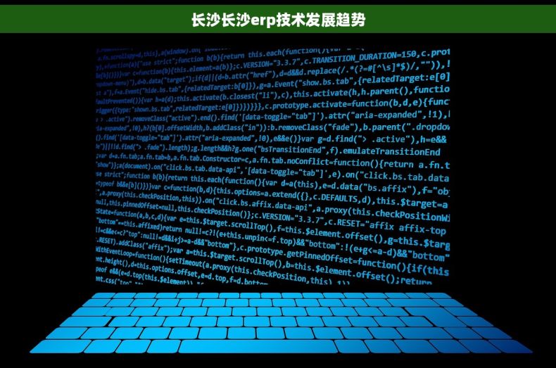 长沙长沙erp技术发展趋势