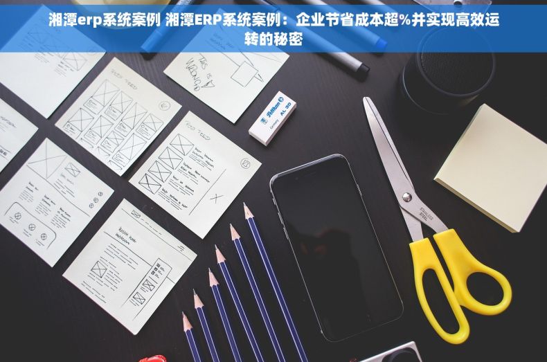湘潭erp系统案例 湘潭ERP系统案例：企业节省成本超%并实现高效运转的秘密