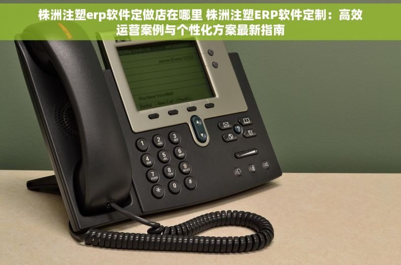 株洲注塑erp软件定做店在哪里 株洲注塑ERP软件定制：高效运营案例与个性化方案最新指南