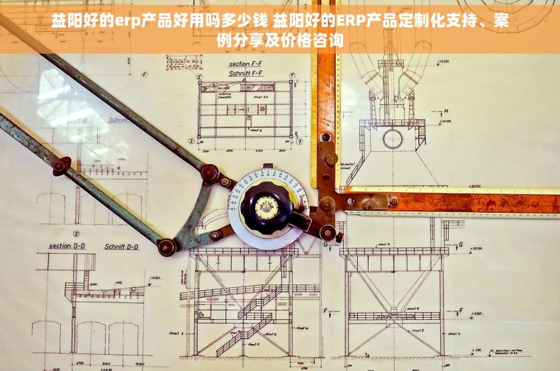 益阳好的erp产品好用吗多少钱 益阳好的ERP产品定制化支持、案例分享及价格咨询