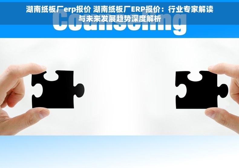 湖南纸板厂erp报价 湖南纸板厂ERP报价：行业专家解读与未来发展趋势深度解析