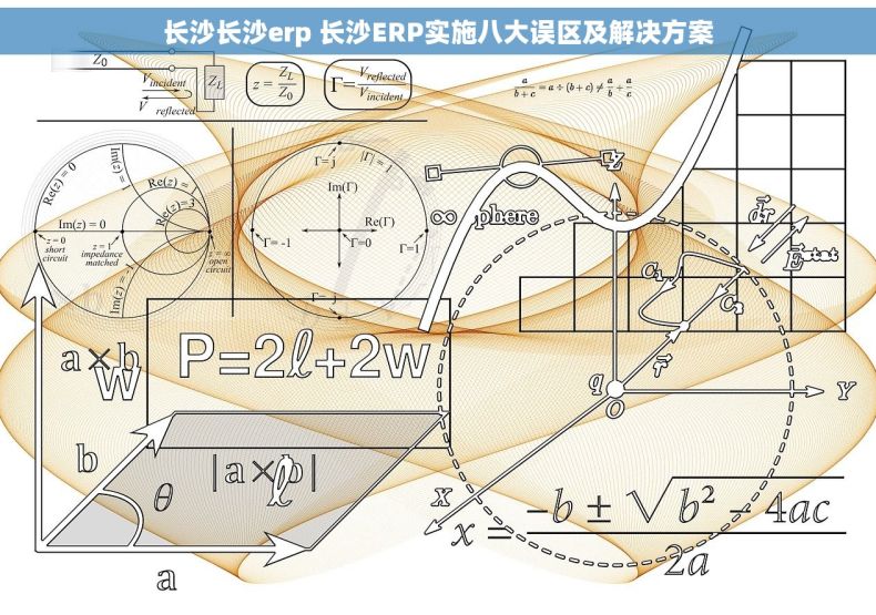 长沙长沙erp 长沙ERP实施八大误区及解决方案