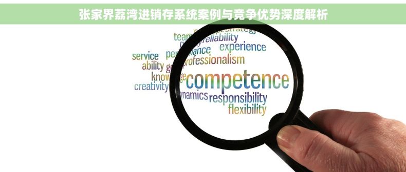 张家界荔湾进销存系统案例与竞争优势深度解析
