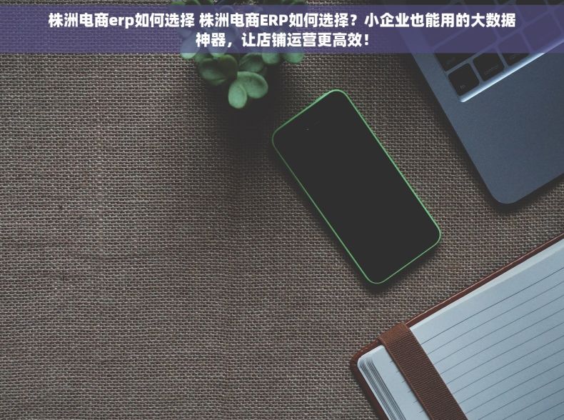 株洲电商erp如何选择 株洲电商ERP如何选择？小企业也能用的大数据神器，让店铺运营更高效！