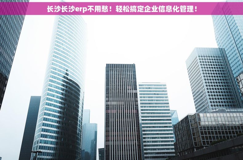 长沙长沙erp不用愁！轻松搞定企业信息化管理！
