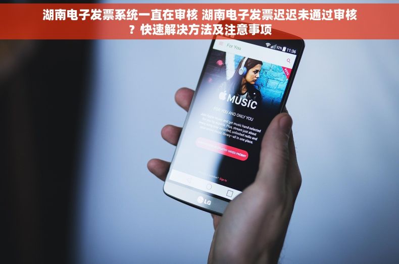 湖南电子发票系统一直在审核 湖南电子发票迟迟未通过审核？快速解决方法及注意事项