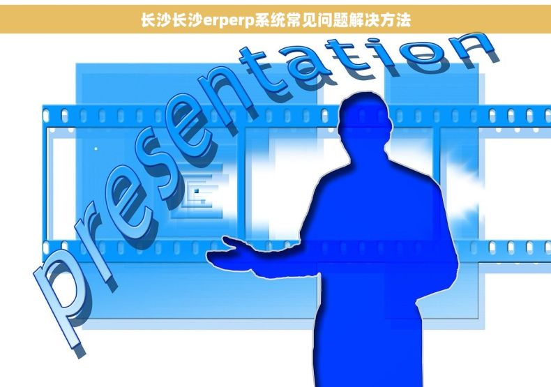 长沙长沙erperp系统常见问题解决方法