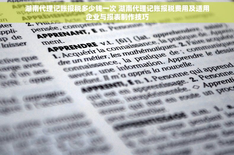 湖南代理记账报税多少钱一次 湖南代理记账报税费用及适用企业与报表制作技巧