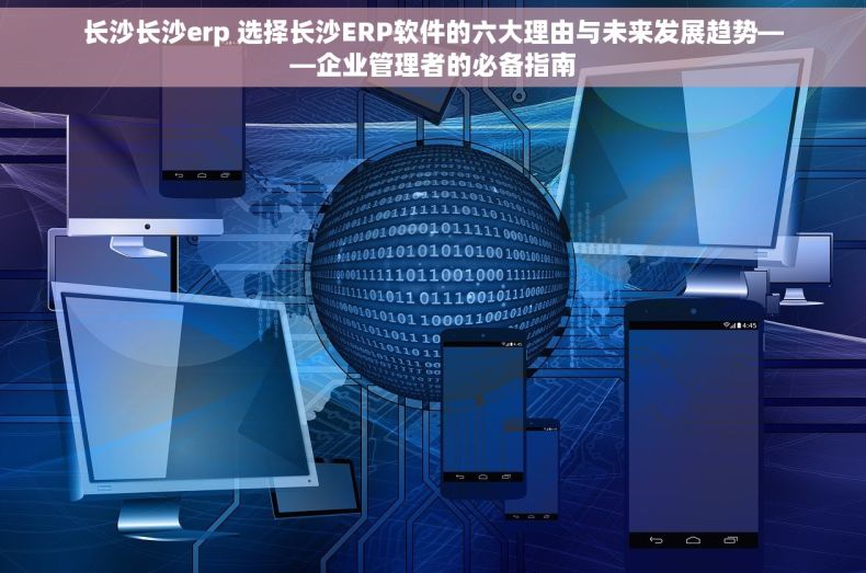 长沙长沙erp 选择长沙ERP软件的六大理由与未来发展趋势——企业管理者的必备指南