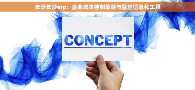 长沙长沙erp：企业成本控制策略与管理信息化工具