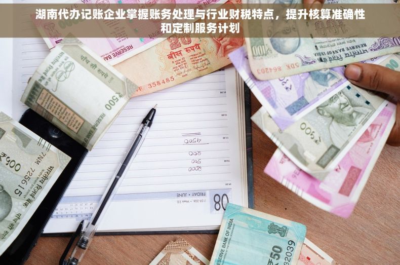 湖南代办记账企业掌握账务处理与行业财税特点，提升核算准确性和定制服务计划