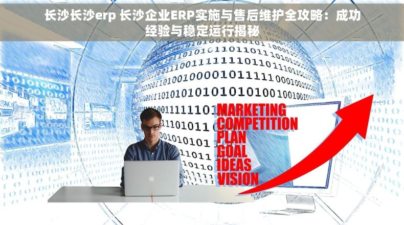 长沙长沙erp 长沙企业ERP实施与售后维护全攻略：成功经验与稳定运行揭秘