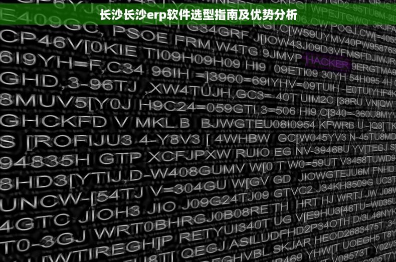 长沙长沙erp软件选型指南及优势分析