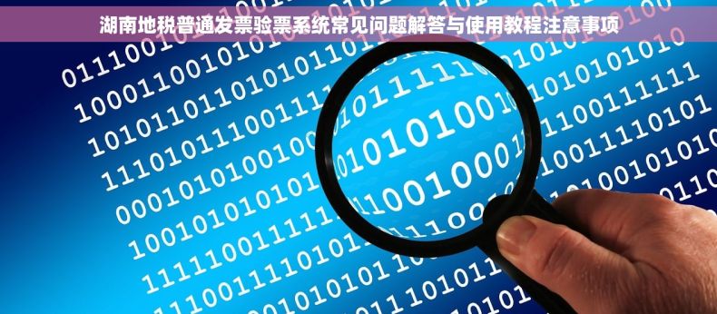 湖南地税普通发票验票系统常见问题解答与使用教程注意事项