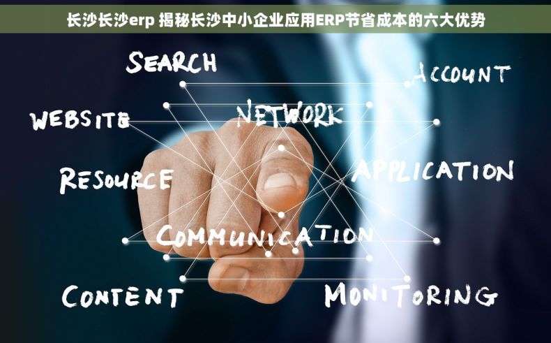 长沙长沙erp 揭秘长沙中小企业应用ERP节省成本的六大优势