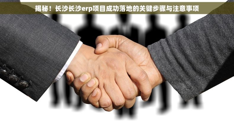 揭秘！长沙长沙erp项目成功落地的关键步骤与注意事项