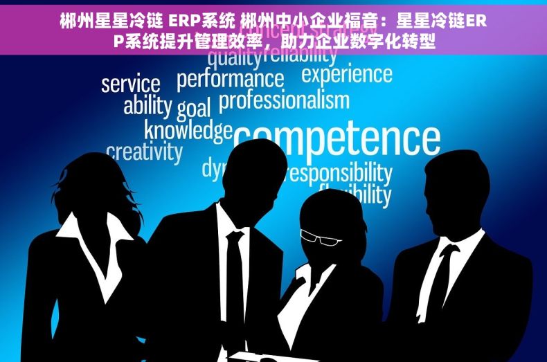 郴州星星冷链 ERP系统 郴州中小企业福音：星星冷链ERP系统提升管理效率，助力企业数字化转型