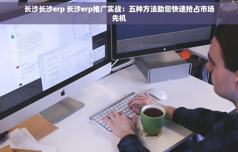 长沙长沙erp 长沙erp推广实战：五种方法助您快速抢占市场先机